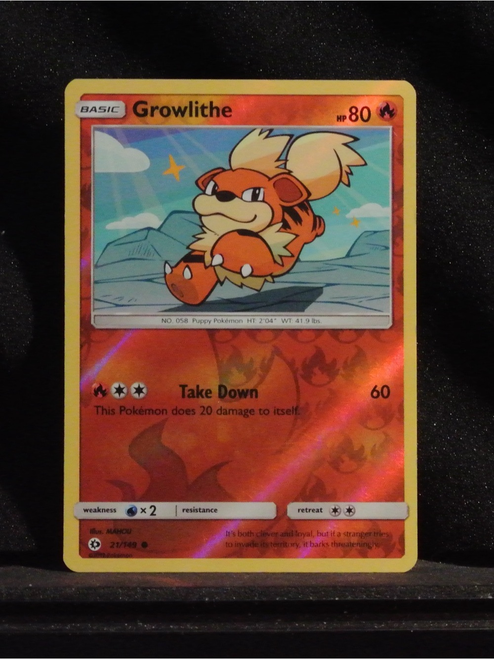 Pokemon Growlithe Holographic Card - Orange, Yellow